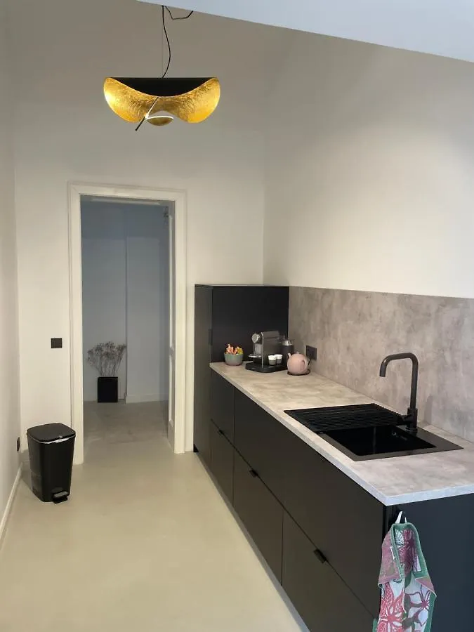 Luxury City Apartment Downtown Vienna