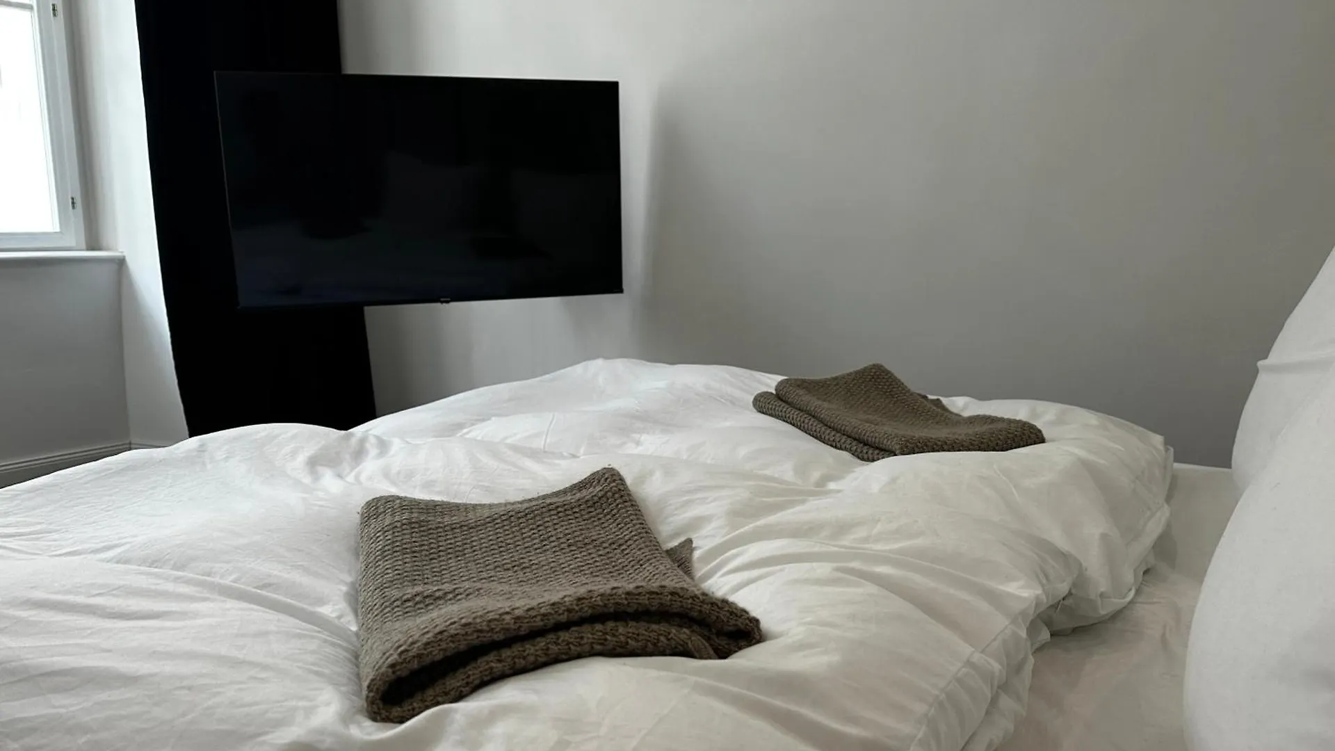 Luxury City Apartment Downtown Vienna